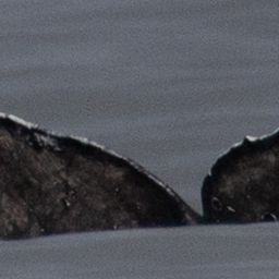 Fluke of CRC-20373