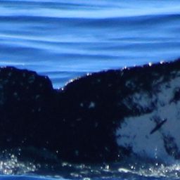 Fluke of HW-MN0522922
