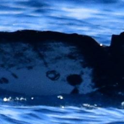 Fluke of CRC-20332
