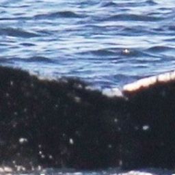 Fluke of NA-1757