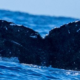 Fluke of HW-MN0443638