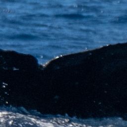Fluke of HW-MN0443669