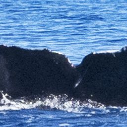 Fluke of CRC-20623