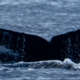 Fluke of CRC-20863
