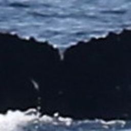 Fluke of HDRVAMn217