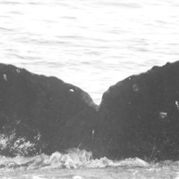 Fluke of CRC-12506