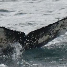 Fluke of HW-MN0800973