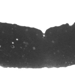 Fluke of CRC-10800