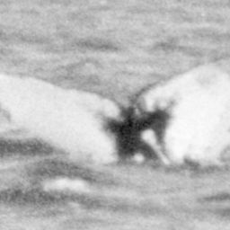 Fluke of NA-1539