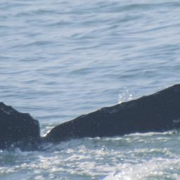 Fluke of CRC-20362