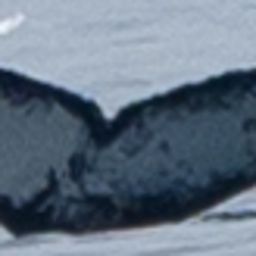 Fluke of HW-MN1303902