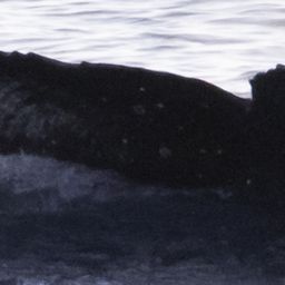 Fluke of HW-MN0523160