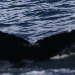 Fluke of HW-MN0102866