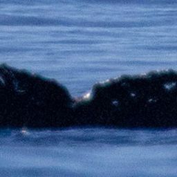 Fluke of HW-MN0443783