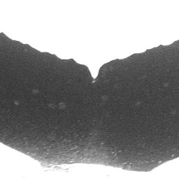 Fluke of CRC-10550