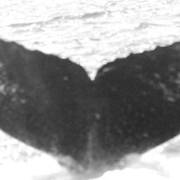 Fluke of CRC-11830