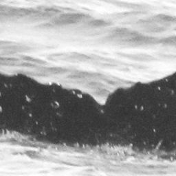 Fluke of CRC-15554