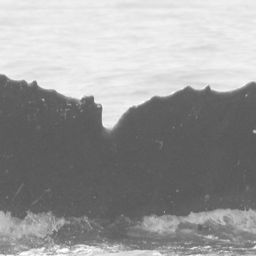 Fluke of CRC-15533