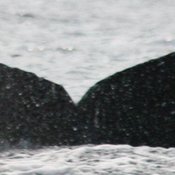 Fluke of TDI-22503