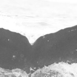 Fluke of CRC-15535