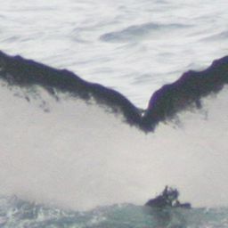 Fluke of PWF-EC_1010