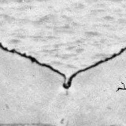 Fluke of USFQ-EC0376