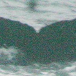 Fluke of PWF-EC_1577