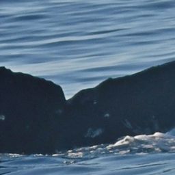 Fluke of HW-MN0443800