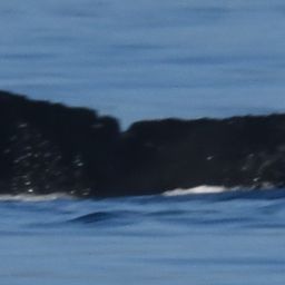 Fluke of HW-MN0443825