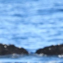 Fluke of HW-MN0443832