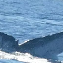 Fluke of HW-MN0443840