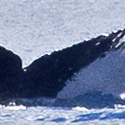 Fluke of HW-MN0443860