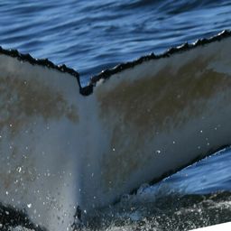 Fluke of HW-MN0801810