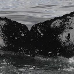 Fluke of HW-MN0801877