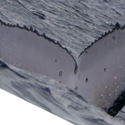 Fluke of NIUE-NI220714-HM-Al