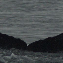 Fluke of HW-MN0430084