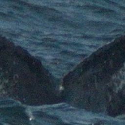 Fluke of HW-MN0430113