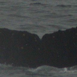 Fluke of HW-MN0430137