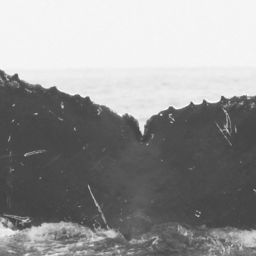 Fluke of CRC-11829