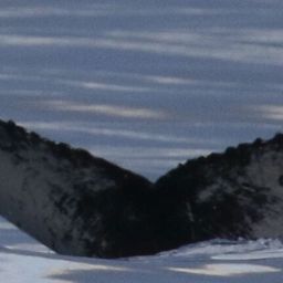 Fluke of Fish