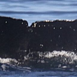 Fluke of CRC-21393