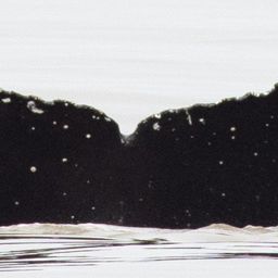 Fluke of CRC-21404