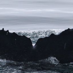 Fluke of CRC-21468