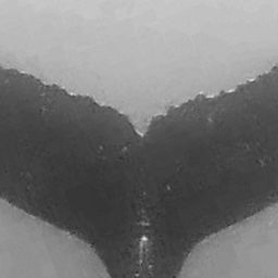 Fluke of HIHWNMS-2023-1-20_G01AO12