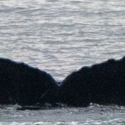 Fluke of HW-MN0401442