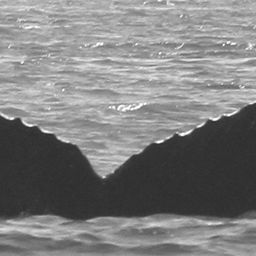 Fluke of CRC-10902