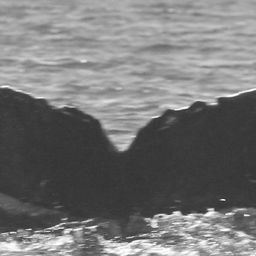 Fluke of Flat-top
