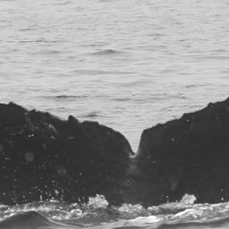 Fluke of CRC-11610