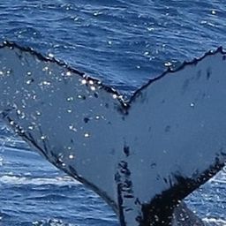 Fluke of HW-MN1105060