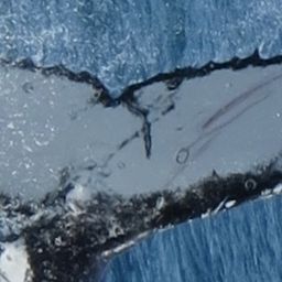 Fluke of HW-MN1105182